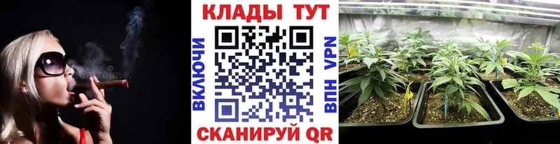 Сколько стоит Курчалой Вейп ТГК  Альфа ПВП  ГЕРОИН  Меф  АМФЕТАМИН  Марихуана 