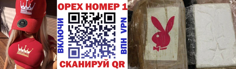 блэк спрут как зайти  дарнет шоп  Курчалой  КОКАИН 97% 