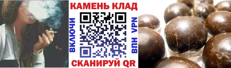 OMG как зайти  Курчалой  Гашиш Cannabis  как найти закладки 
